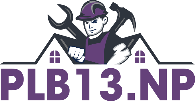 PLB 13